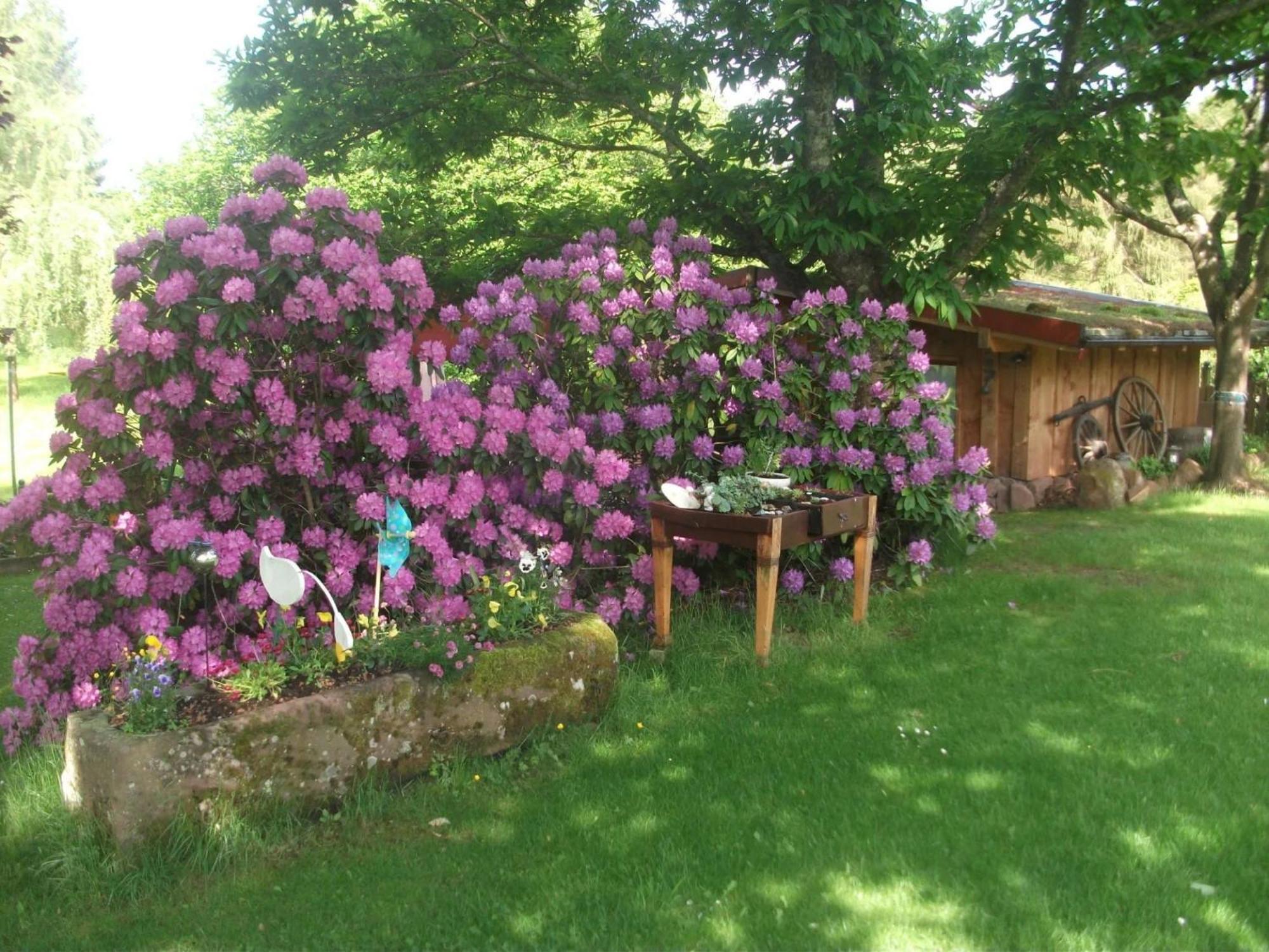 Ferienwohnungen 'Blick Zur Madonna' Fischbach Exterior photo
