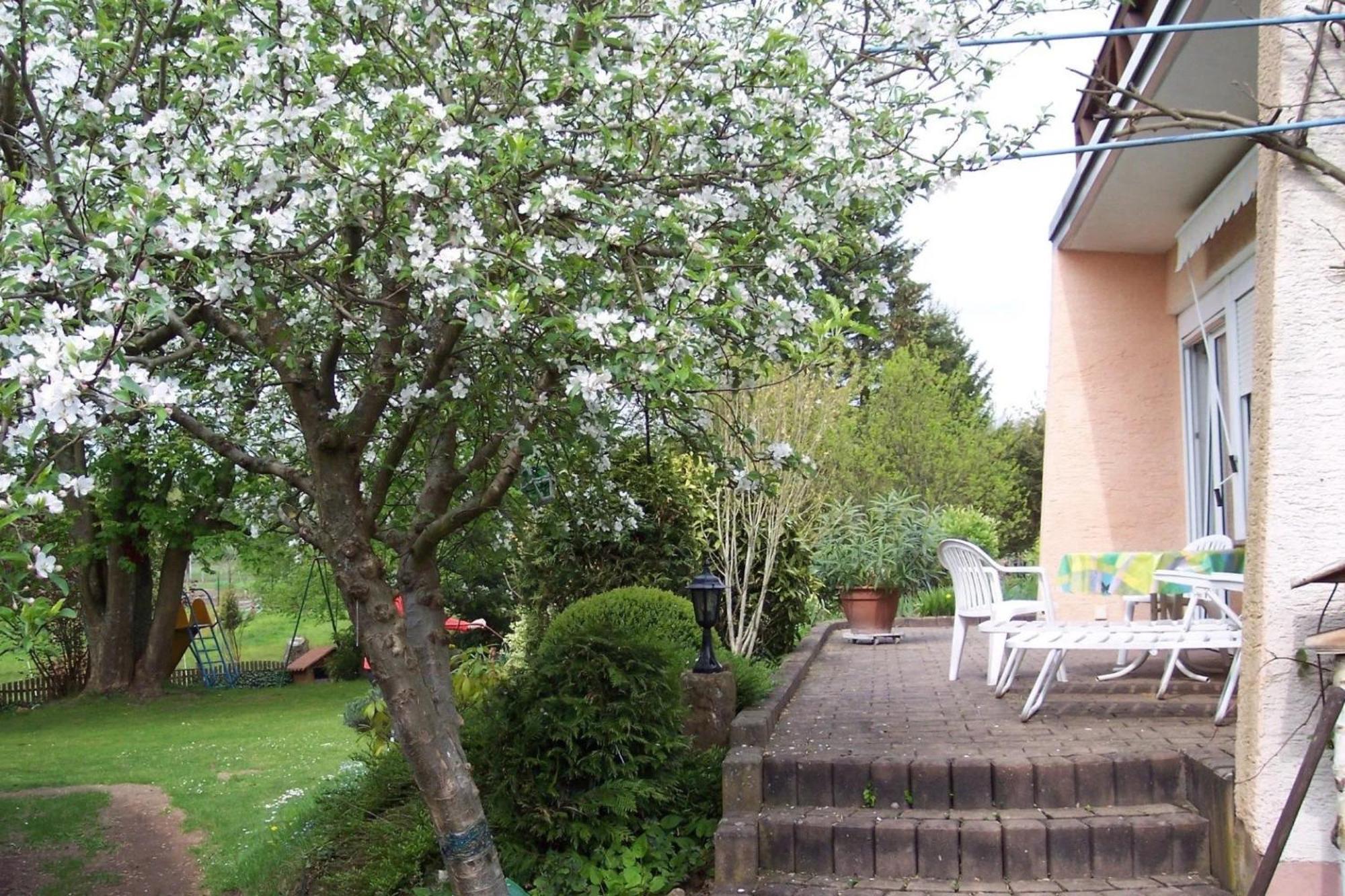 Ferienwohnungen 'Blick Zur Madonna' Fischbach Exterior photo